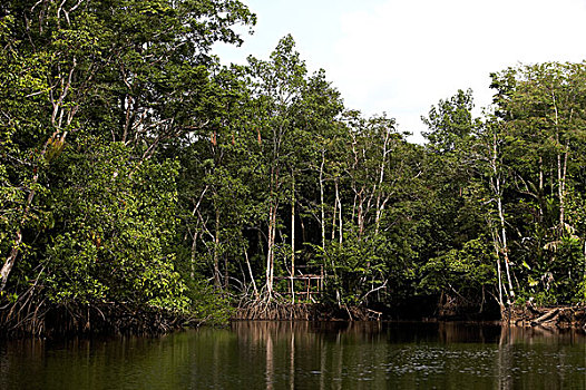 dự đoán hôm nay