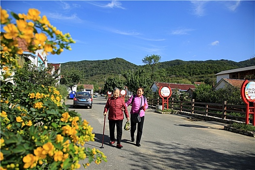 wap du doan xs