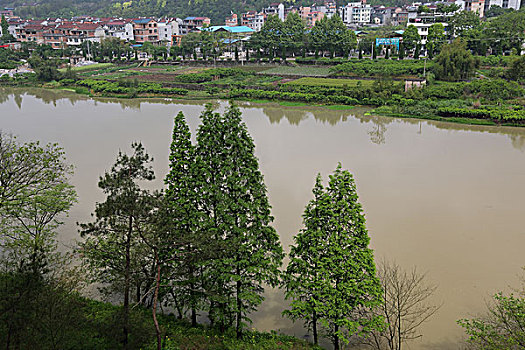 xskt kien giang