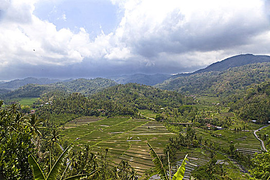 cầu miền bắc