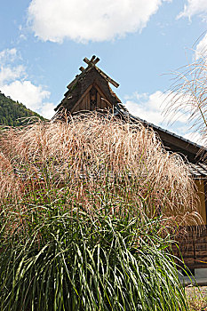 nhung cap so lau ve mien nam