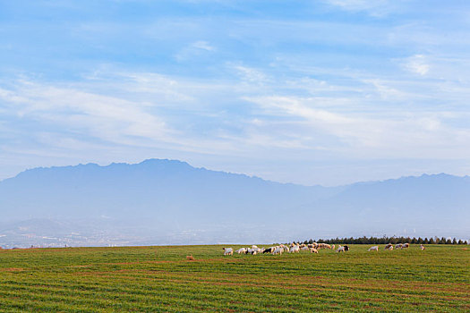 chốt số hàng ngày