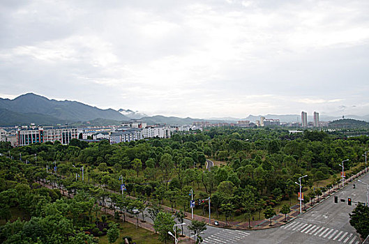 soi cầu bạch kim
