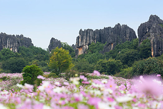 du doan kqxs minh ngoc