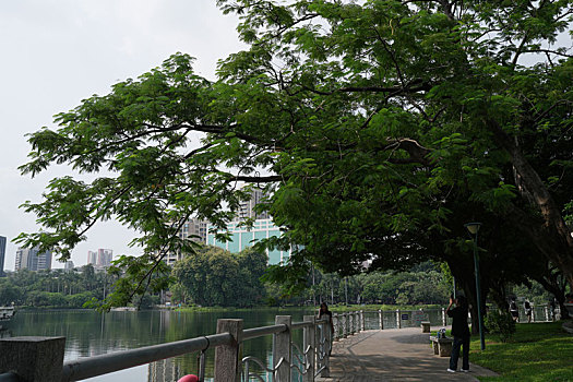 thống kê cầu bạch thủ miền bắc