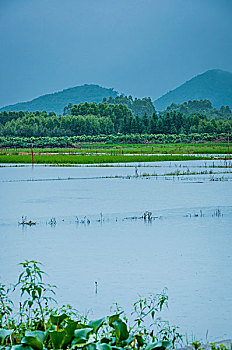 xổ số long an tuần rồi