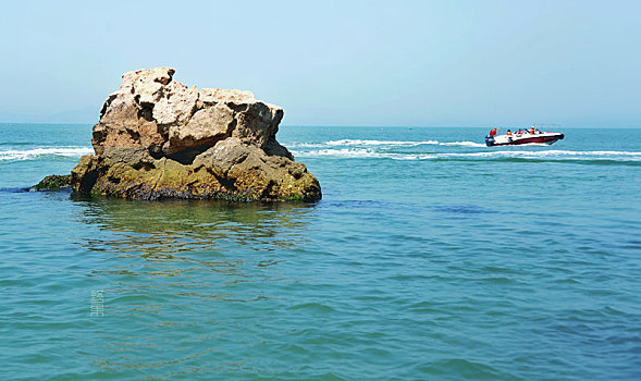 thong ke rong bach kim