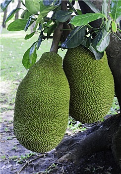 dự đoán số miền nam