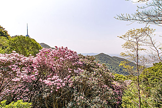 soi lô đề hôm nay