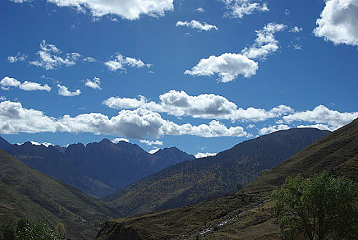 m rong bach kim