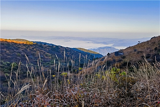 soi cau binh dinh 24h