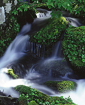 tỷ lệ ăn lô