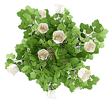 dự đoán xổ số ninh thuận