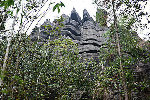 soi cau keo