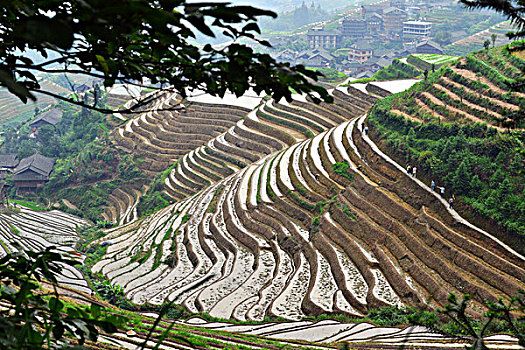 cầu lô miền nam