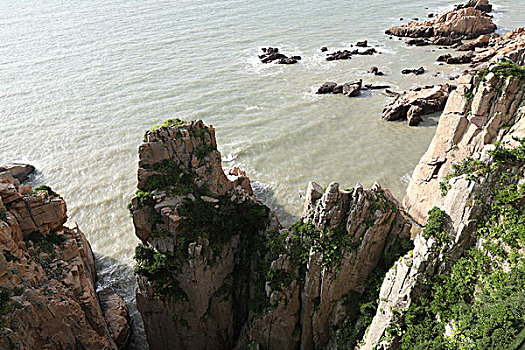 soi cau bac