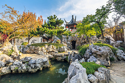 soi cau 2 nhay rong bach kim