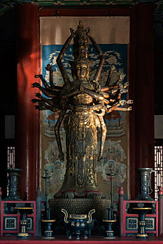 soi cau de