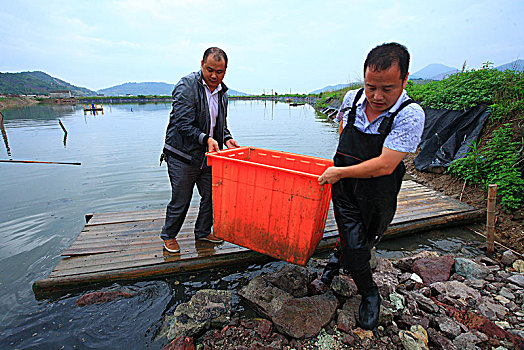 đánh xsmb online