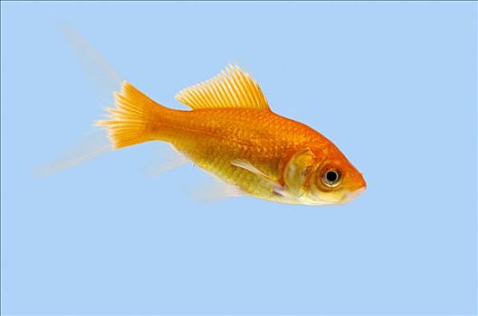 cầu lô bạch thủ miền bắc hôm nay