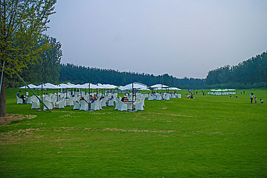 cau bach thu mien bac hom nay