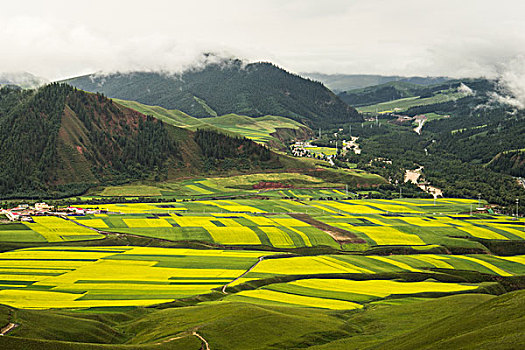 ăn lô đề