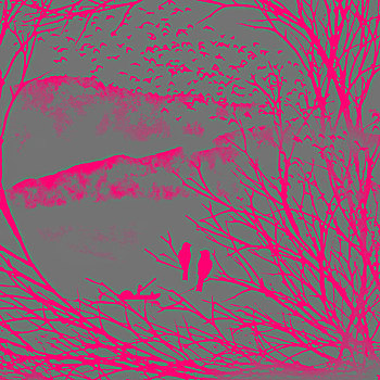 xstt