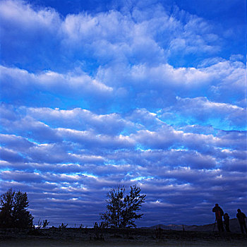 soi cau rong bach kim