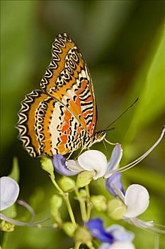 xổ số phú yên hôm nay