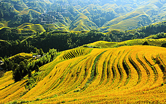 kết quả xổ số an giang