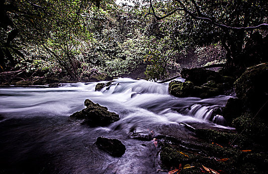 du doan rong bach kim
