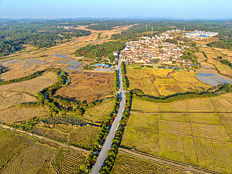 du doan minh ngoc