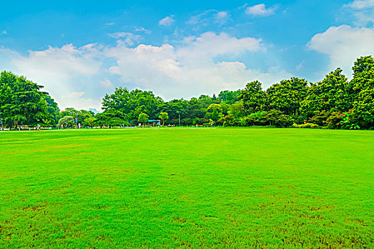 soi cầu win288