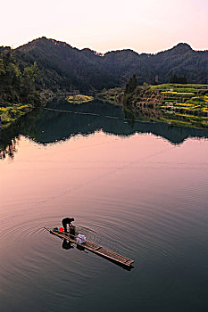 soi câu rong bach kim