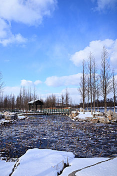 du doan xshcm minh ngoc