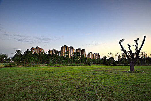 soi số miền bắc