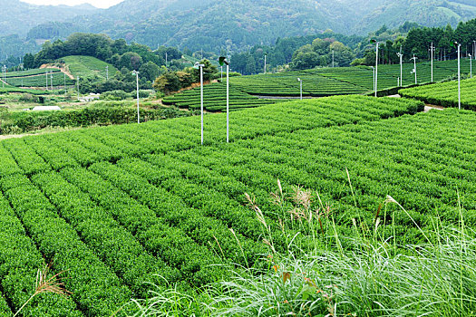nhà cái lô đề