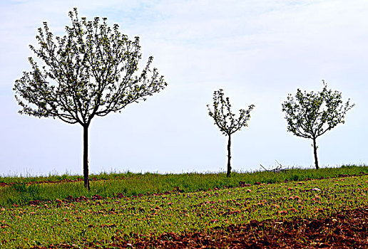 lô kép khung 2 ngày