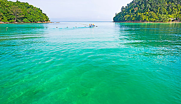 soi cau bach thu mb mien phi