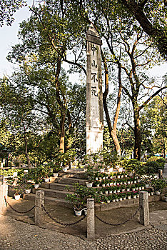 soi cau lo 888 mien phi