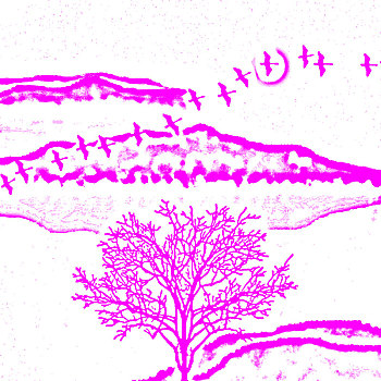 soicau366