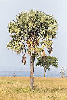 xổ số tây ninh hôm nay