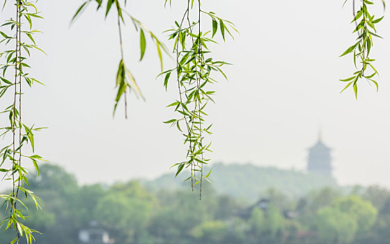 xs ca mau