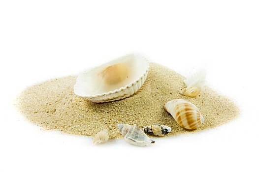 soi cầu thuận vũ