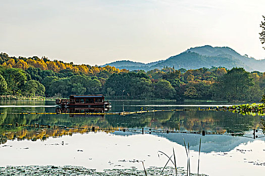 bach thu lo kep