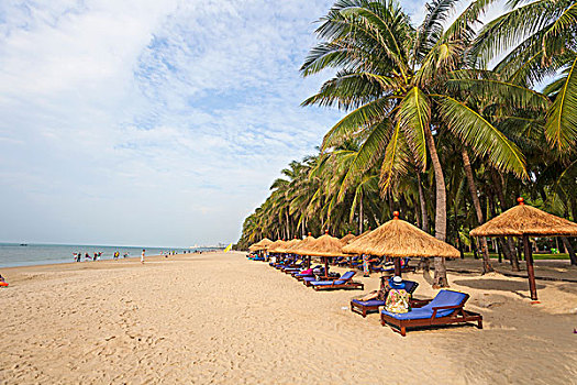 soi cầu đài phát miền bắc