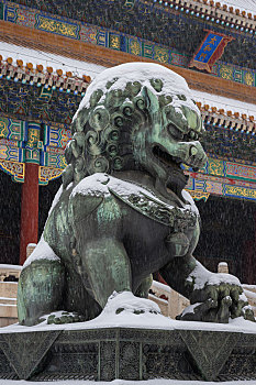 lo khung rong bach kim