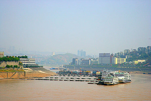 bạch thu lo