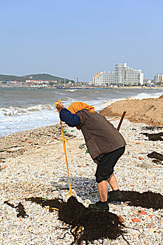 xo so vung tau
