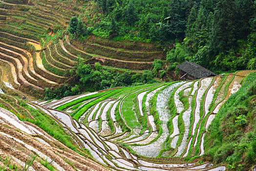 kết quả xổ số vietlott